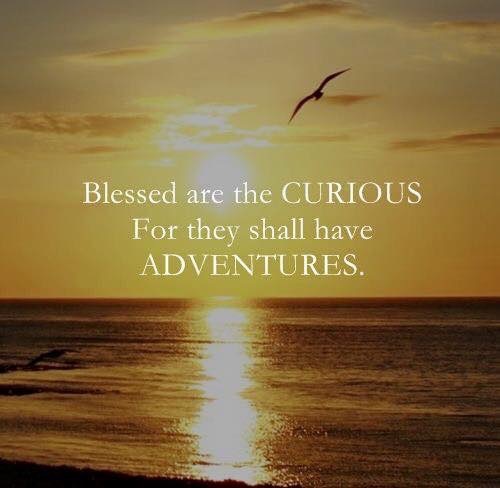 Blessed are the CURIOUS for they shall have ADVENTURES!